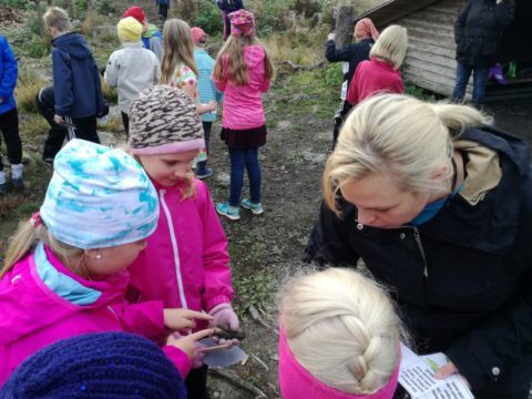 Outdoor lesson in the forest