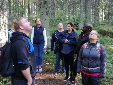 Relax in Finnish nature