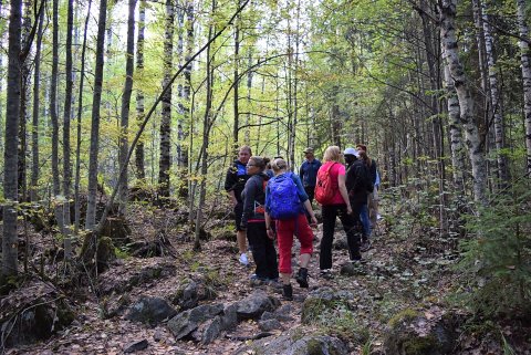 Hiking in forest