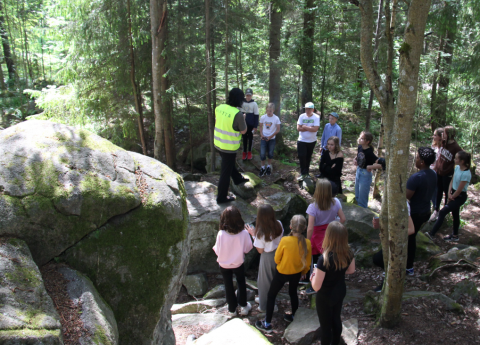 Forest as a learning environment